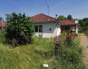 Casa individuala cu gradina frumoasa, teren mare Moldovenesti-Cluj