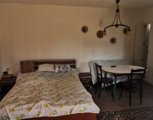 Casa individuala cu gradina frumoasa, teren mare Moldovenesti-Cluj