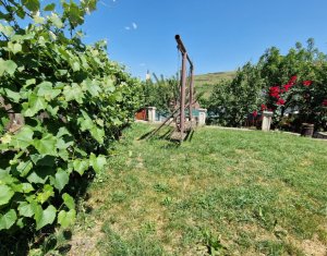 Maison 4 chambres à vendre dans Mera