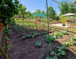 Maison 4 chambres à vendre dans Mera