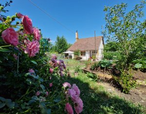Maison 4 chambres à vendre dans Mera