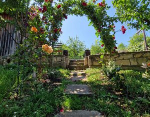 Maison 4 chambres à vendre dans Mera