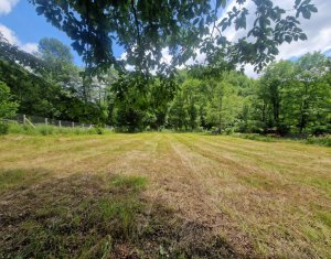 Telek eladó on Rasca