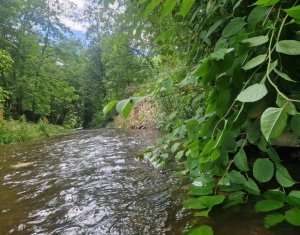 Telek eladó on Rasca