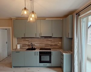 Appartement 2 chambres à louer dans Floresti