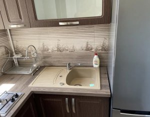 Studio à louer dans Cluj-napoca, zone Marasti