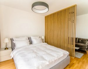 Appartement 1 chambres à louer dans Cluj-napoca, zone Intre Lacuri