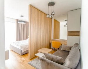 Appartement 1 chambres à louer dans Cluj-napoca, zone Intre Lacuri