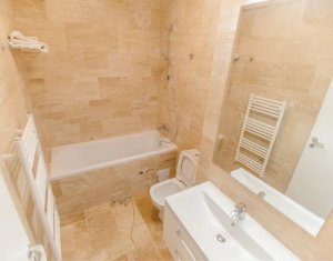 Appartement 1 chambres à louer dans Cluj-napoca, zone Intre Lacuri