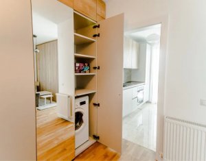 Appartement 1 chambres à louer dans Cluj-napoca, zone Intre Lacuri