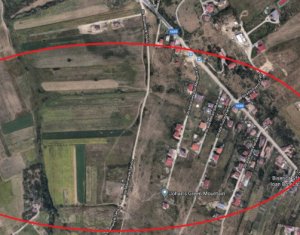 Terrain à vendre dans Cluj-napoca, zone Borhanci