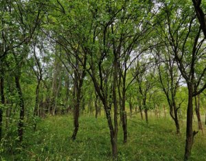 House 4 rooms for sale in Lita