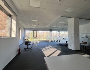 Iroda kiadó on Cluj-napoca, Zóna Gruia