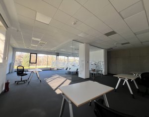 Iroda kiadó on Cluj-napoca, Zóna Gruia