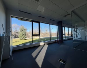 Iroda kiadó on Cluj-napoca, Zóna Gruia