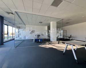 Iroda kiadó on Cluj-napoca, Zóna Gruia