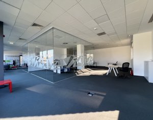 Iroda kiadó on Cluj-napoca, Zóna Gruia