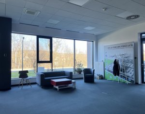 Iroda kiadó on Cluj-napoca, Zóna Gruia