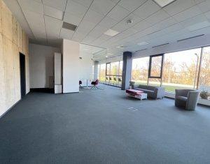 Iroda kiadó on Cluj-napoca, Zóna Gruia