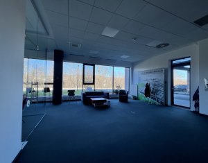 Iroda kiadó on Cluj-napoca, Zóna Gruia