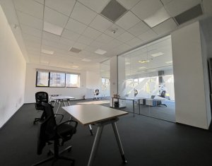 Iroda kiadó on Cluj-napoca, Zóna Gruia