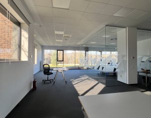 Iroda kiadó on Cluj-napoca, Zóna Gruia