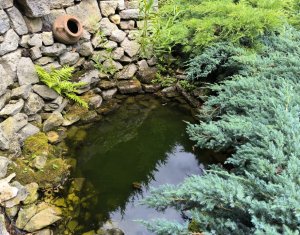 Casa individuala 5 camere, Floresti, strada linistita