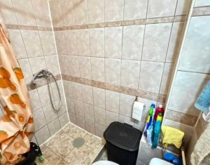 Appartement 1 chambres à vendre dans Cluj-napoca, zone Marasti