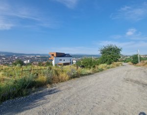 , 2540m2 in Cluj-napoca, zona Dambul Rotund