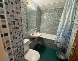 Appartement 3 chambres à louer dans Cluj-napoca, zone Intre Lacuri