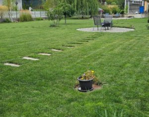 Maison 1 chambres à vendre dans Chinteni