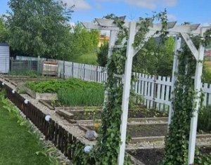 Maison 1 chambres à vendre dans Chinteni