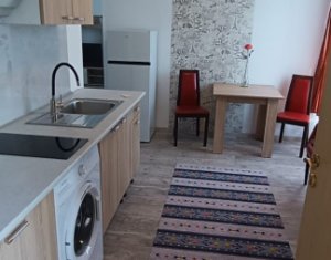 Appartement 2 chambres à louer dans Cluj-napoca, zone Borhanci