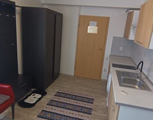 Appartement 2 chambres à louer dans Cluj-napoca, zone Borhanci