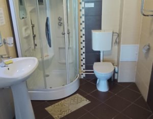 Appartement 2 chambres à louer dans Cluj-napoca, zone Borhanci