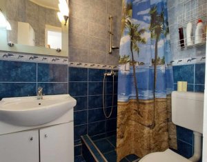 Appartement 1 chambres à louer dans Cluj-napoca, zone Intre Lacuri