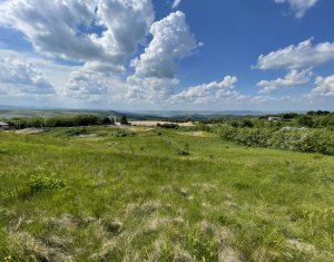 Teren superb in Salicea, 1170 mp, PUZ, drum, apa si curent, zona “La Mesteceni”