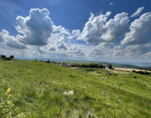 Teren superb in Salicea, 1170 mp, PUZ, drum, apa si curent, zona “La Mesteceni”