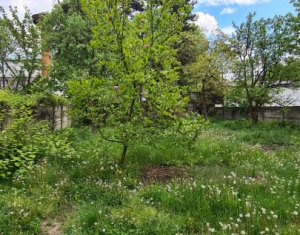 Maison 4 chambres à vendre dans Cluj-napoca, zone Centru