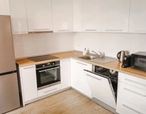 Appartement 2 chambres à louer dans Cluj-napoca, zone Dambul Rotund