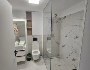 Lakás 2 szobák kiadó on Cluj-napoca, Zóna Iris