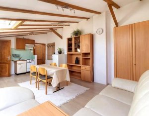 Appartement 1 chambres à louer dans Cluj-napoca, zone Gheorgheni