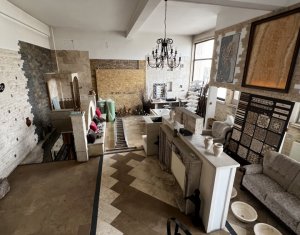 Spatiu mixt 215mp P+E showroom si birouri, str Campina zona Hornbach