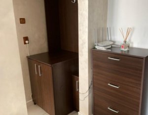 Appartement 2 chambres à louer dans Cluj-napoca, zone Intre Lacuri