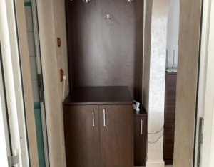 Appartement 2 chambres à louer dans Cluj-napoca, zone Intre Lacuri