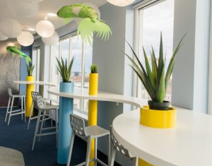 Birouri co-working, zona centrala NTT Building