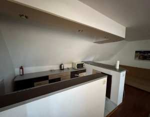 Ház 4 szobák kiadó on Cluj-napoca, Zóna Andrei Muresanu