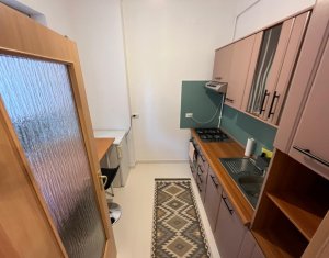 Appartement 1 chambres à vendre dans Cluj-napoca, zone Iris