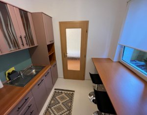 Appartement 1 chambres à vendre dans Cluj-napoca, zone Iris
