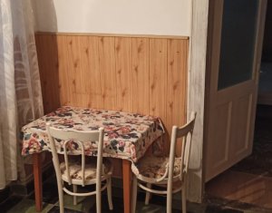 Appartement 1 chambres à louer dans Cluj-napoca